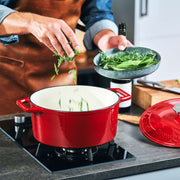 The Tasman Recycled  Dutch Oven and Grill in Red - Ø29 cm /  11.4"